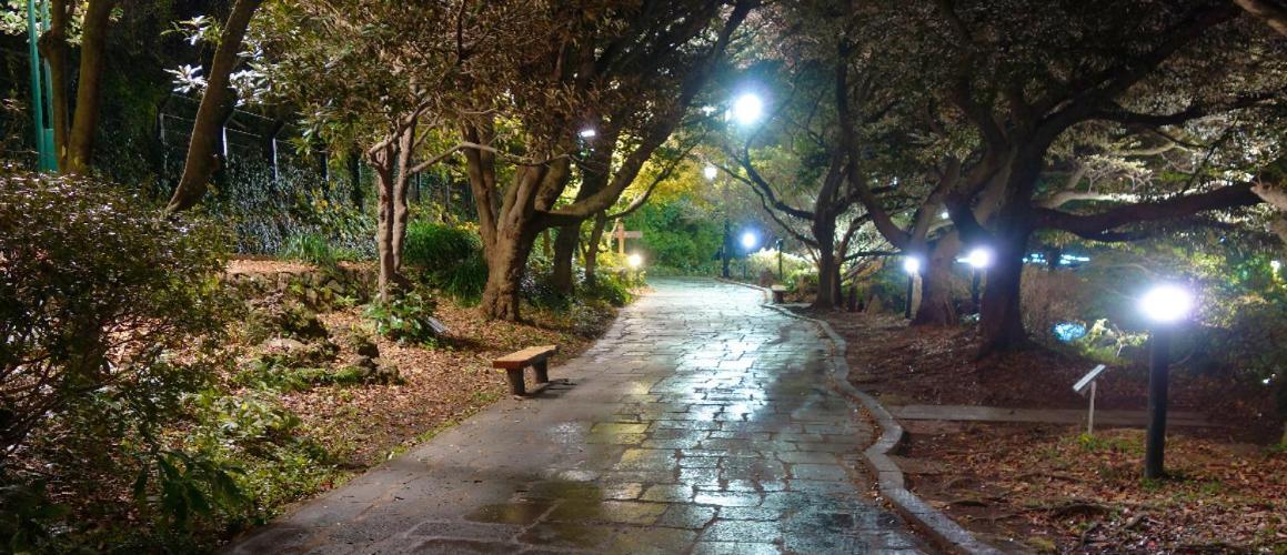 Hotel The Grang סאוגוויפו מראה חיצוני תמונה